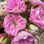 ЭРИК Сакура Суфле🌸
