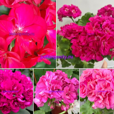 .Набор №2 👍💥🌸🌼🌷