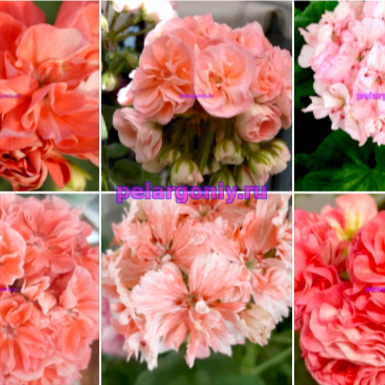 .Набор №4 👍💥🌸🌼🌷